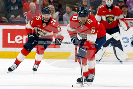 Panthers Hurricanes Hockey