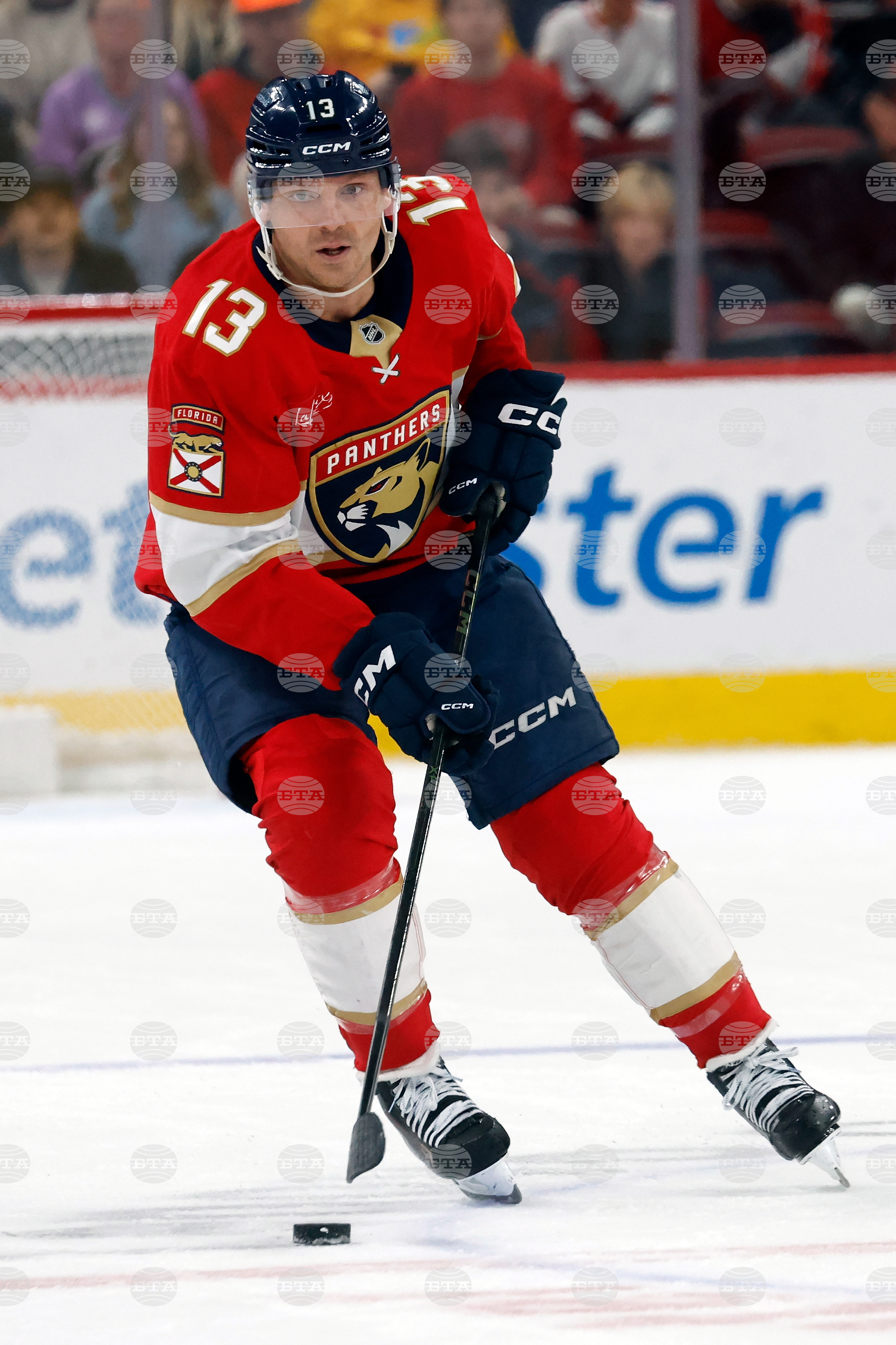 Panthers Hurricanes Hockey