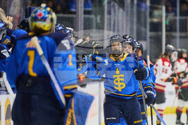 Charge Sceptres Hockey