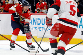 Panthers Hurricanes Hockey