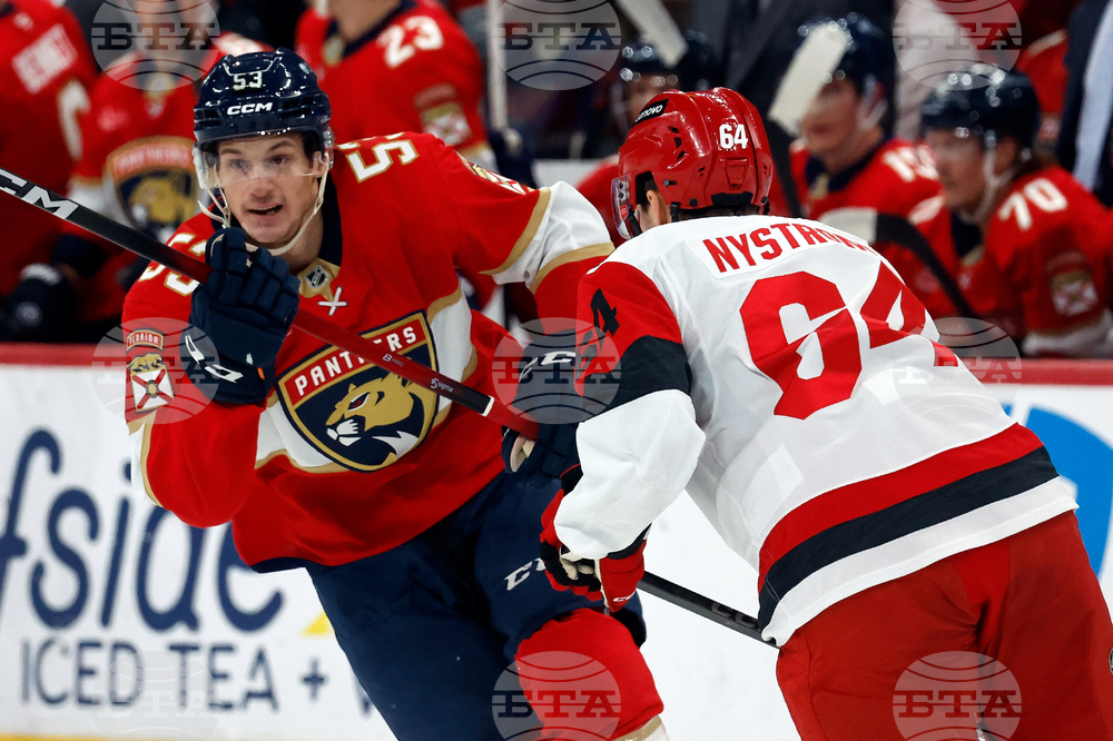 Panthers Hurricanes Hockey