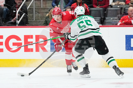 Stars Red Wings Hockey