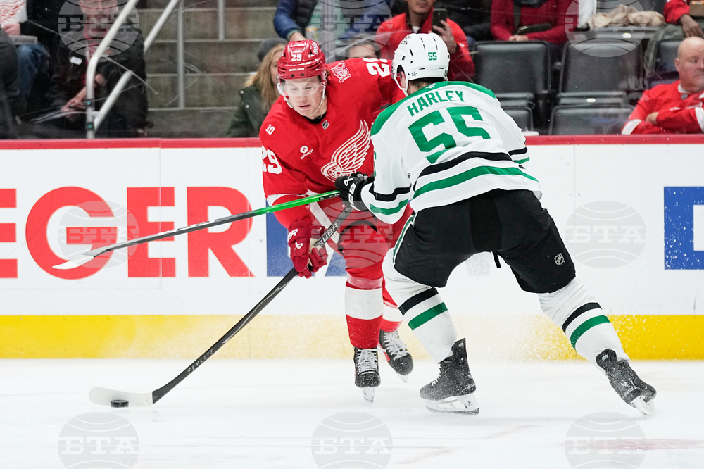 Stars Red Wings Hockey