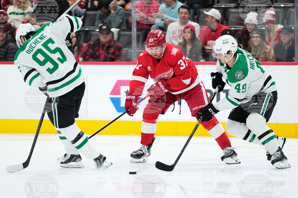 Stars Red Wings Hockey