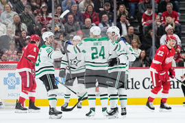 Stars Red Wings Hockey