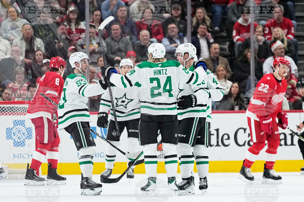 Stars Red Wings Hockey