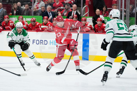 Stars Red Wings Hockey