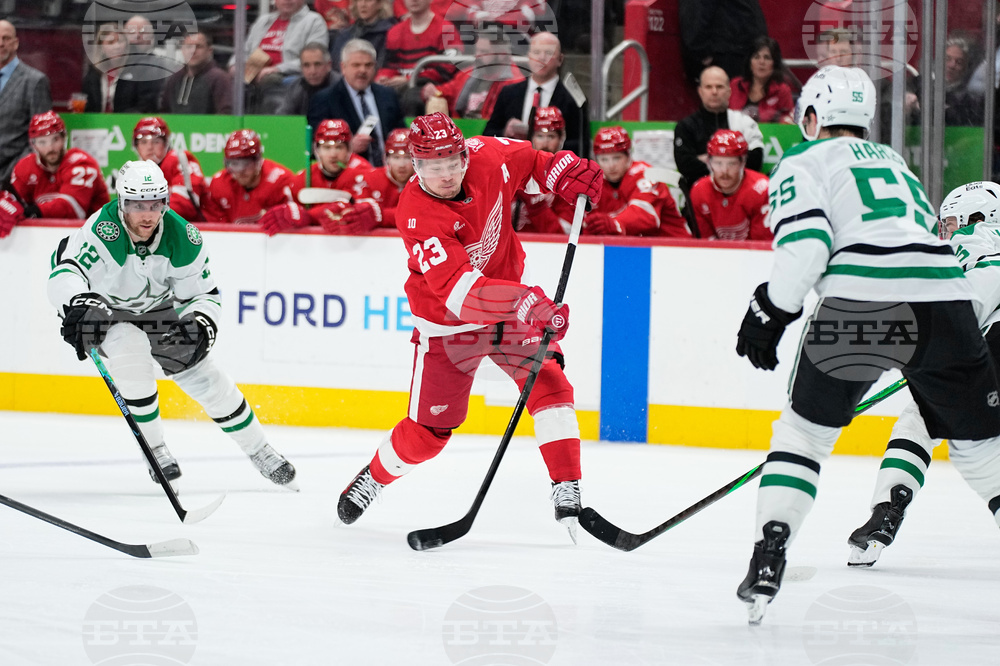 Stars Red Wings Hockey