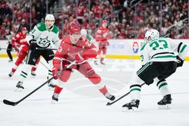 Stars Red Wings Hockey