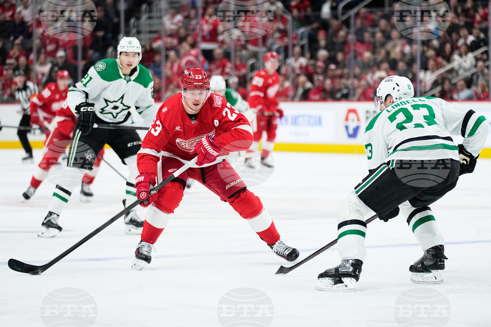 Stars Red Wings Hockey