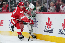 Stars Red Wings Hockey