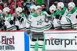 Stars Red Wings Hockey