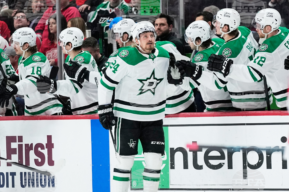 Stars Red Wings Hockey