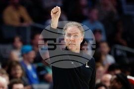 Wizards Hornets Basketball