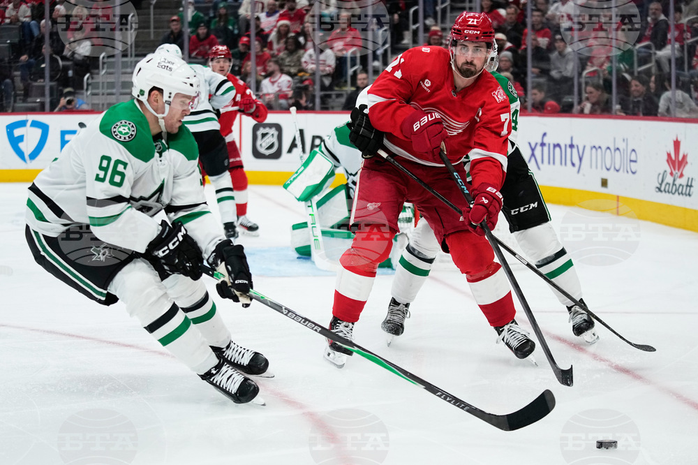 Stars Red Wings Hockey