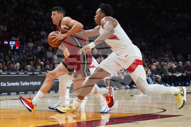 Raptors Heat Basketball