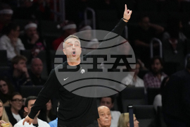 Raptors Heat Basketball