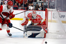 Panthers Hurricanes Hockey