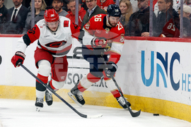 Panthers Hurricanes Hockey