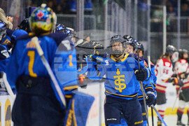 Charge Sceptres Hockey