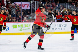 Sabres Senators Hockey