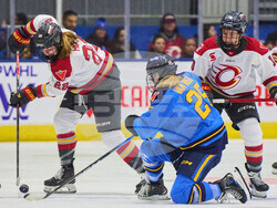 Charge Sceptres Hockey