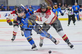 Charge Sceptres Hockey