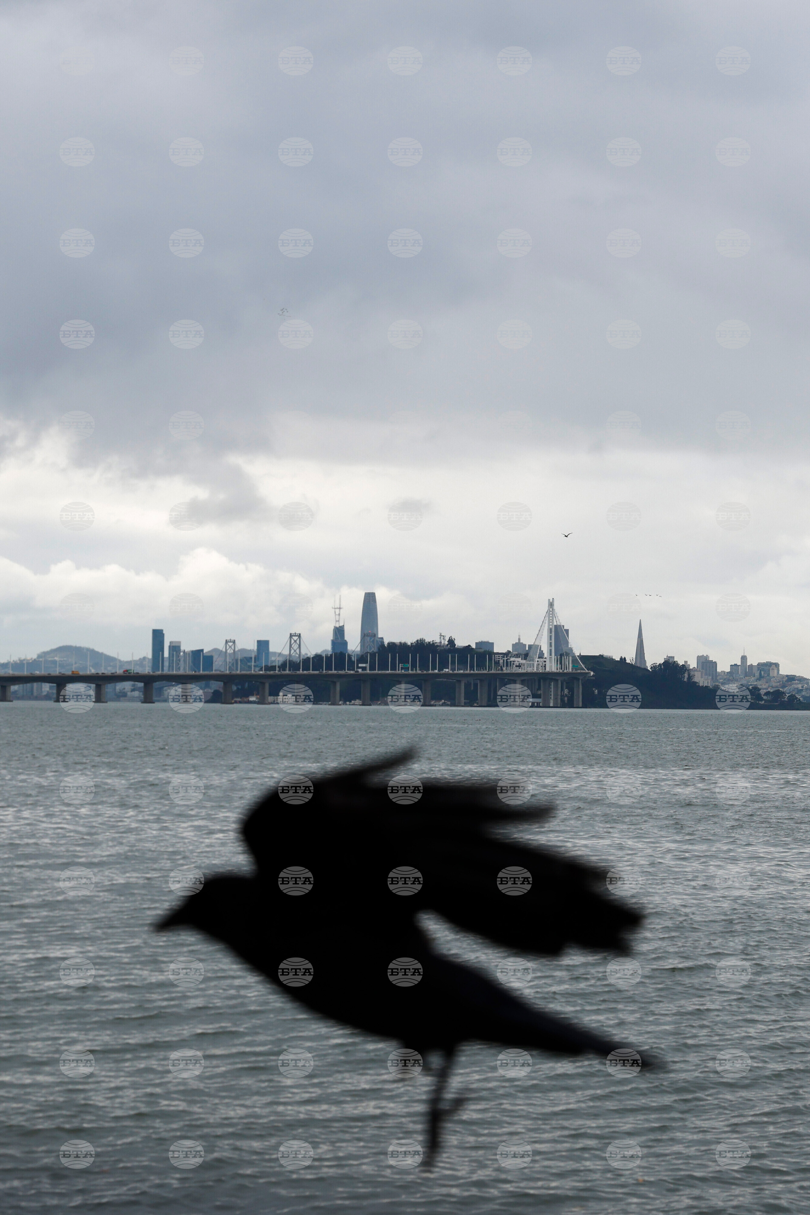 San Francisco Daily Life