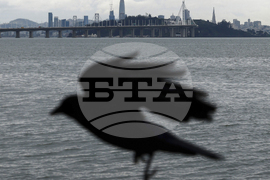 APTOPIX San Francisco Daily Life