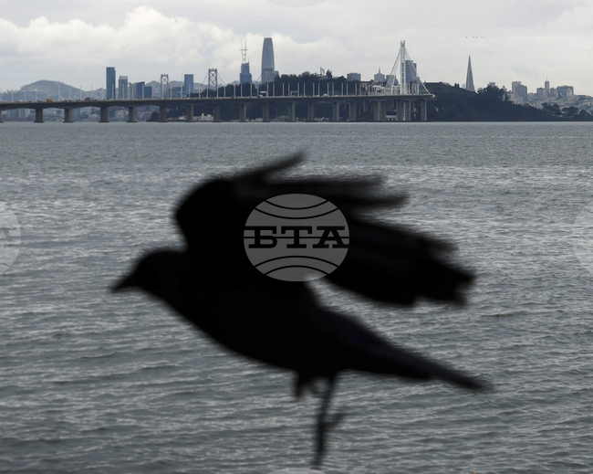 APTOPIX San Francisco Daily Life