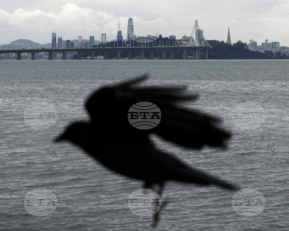 APTOPIX San Francisco Daily Life