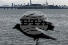 APTOPIX San Francisco Daily Life