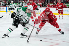 Stars Red Wings Hockey