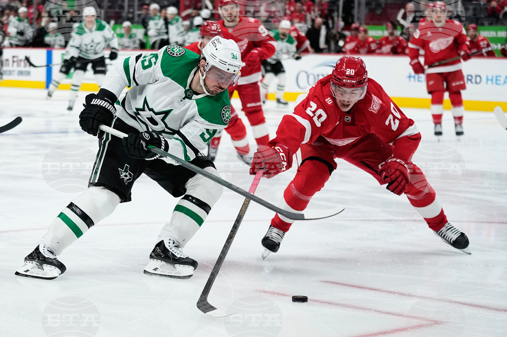 Stars Red Wings Hockey