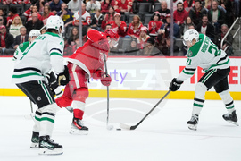 Stars Red Wings Hockey