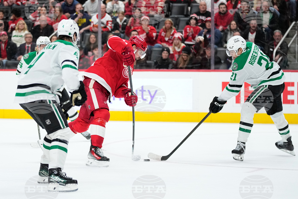 Stars Red Wings Hockey