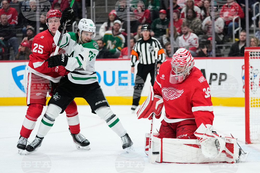 Stars Red Wings Hockey