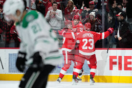 Stars Red Wings Hockey