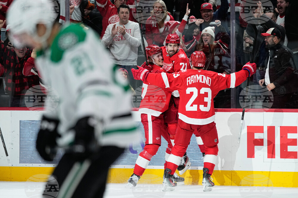 Stars Red Wings Hockey