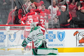 Stars Red Wings Hockey