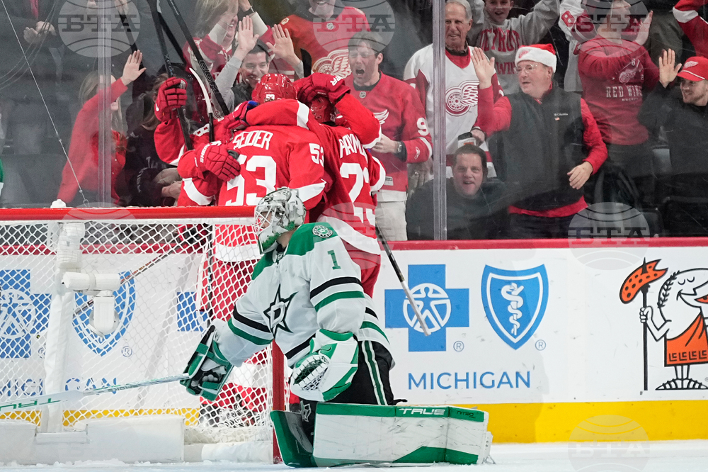 Stars Red Wings Hockey