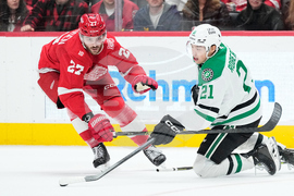 Stars Red Wings Hockey