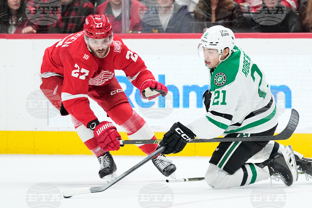 Stars Red Wings Hockey