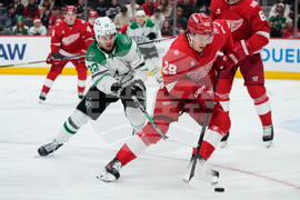 Stars Red Wings Hockey