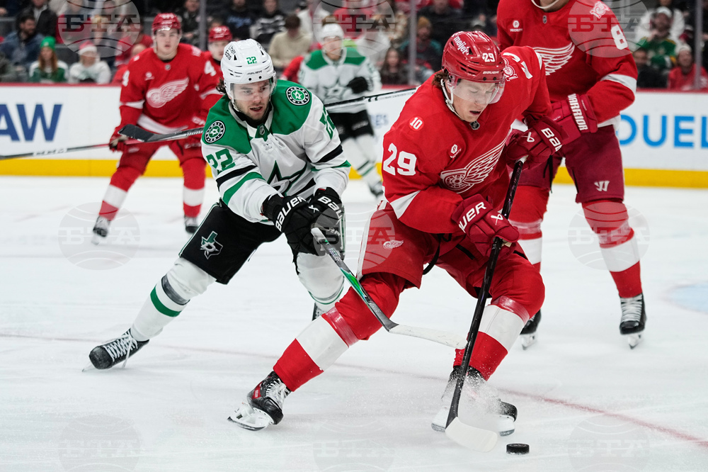Stars Red Wings Hockey