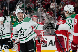 Stars Red Wings Hockey