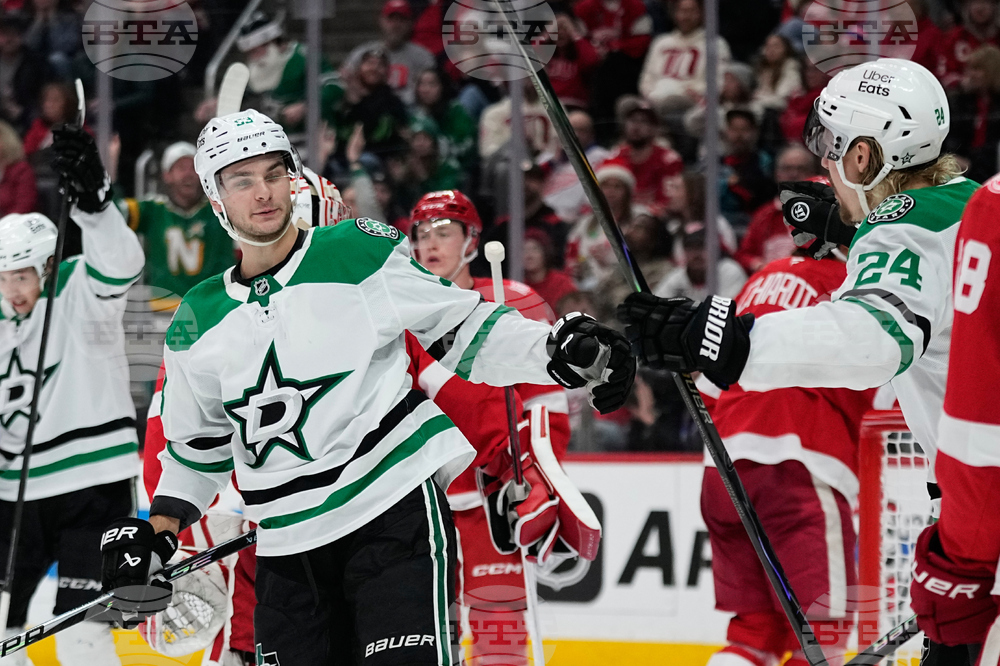 Stars Red Wings Hockey