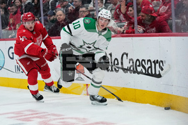 Stars Red Wings Hockey