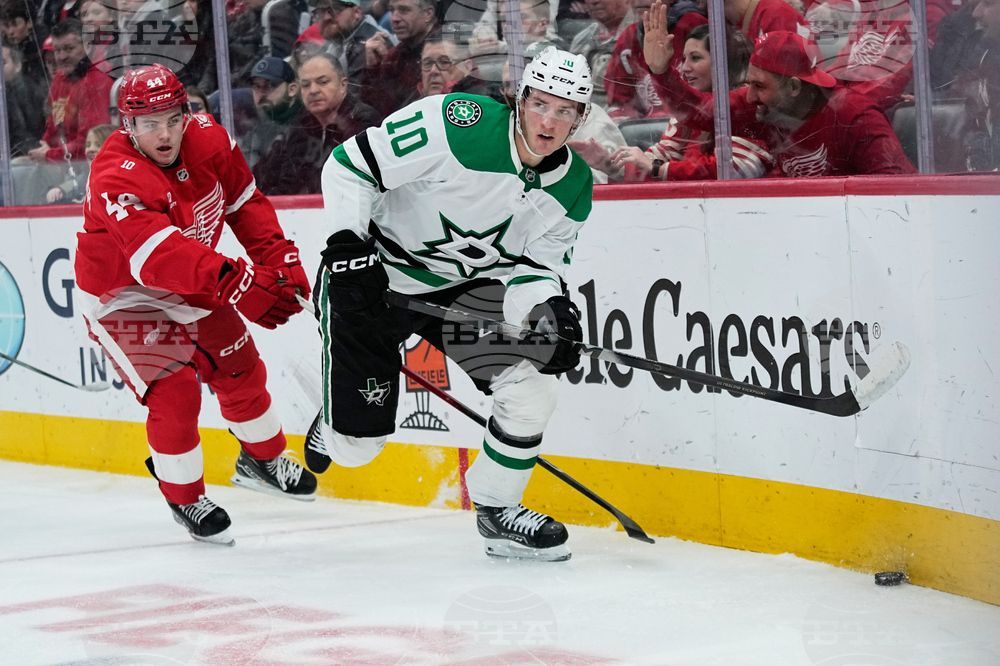 Stars Red Wings Hockey