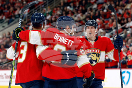 Panthers Hurricanes Hockey